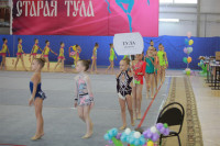 IX Всероссийский турнир по художественной гимнастике «Старая Тула», Фото: 31