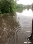 Потоп в Узловой: Магазины и дворы под водой, по улицам плывут караси, Фото: 3