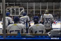 Хоккей, который объединяет: в Туле завершился Кубок губернатора Тульской области – 2025, Фото: 36