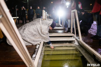В Центральном парке Тулы прошли крещенские купания, Фото: 8
