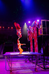 Успейте посмотреть шоу «Новогодние приключения домовенка Кузи» в Тульском цирке, Фото: 78