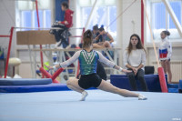 Всероссийские соревнования по спортивной гимнастике, Фото: 72