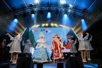 Глава администрации Тулы Илья Беспалов: «Загадывайте желания под нашей новой красавицей-ёлкой», Фото: 22