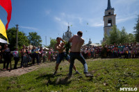 В Тульской области прошел фестиваль крапивы, Фото: 215