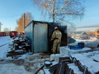 В Туле рядом с частным домом сгорел строительный вагонщик, Фото: 4