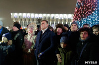 Алексей Дюмин встретил Новый год на главной площади Тулы, Фото: 2