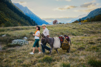 Новый год на канале Россия 1 , Фото: 18