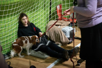 В Туле прошла выставка собак всех пород, Фото: 176