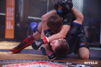 Финалы турнира по MMA памяти Алексея Калинина проходят в Новомосковске, Фото: 8