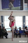 Соревнования по спортивной гимнастике на призы Заслуженных мастеров спорта , Фото: 51