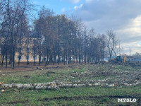 В сквере на улице Приупской вырубают тополя: в администрации рассказали, зачем, Фото: 9
