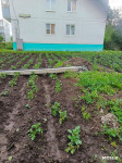 Ураган в Богучарово, Фото: 5