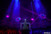 Премьера новогоднего шоу в Тульском цирке, Фото: 72