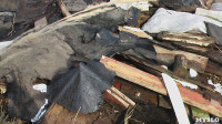 Поселок Славный в Тульской области зарастает мусором, Фото: 11