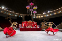 Грандиозное цирковое шоу «Песчаная сказка» впервые в Туле!, Фото: 15