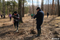 Посадка деревье в Ясной Поляне. 17.04.2015, Фото: 30