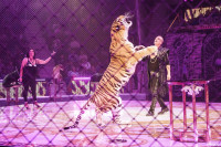 Шоу Гии Эрадзе «5 континентов» в Тульском цирке: феерия уже началась!, Фото: 88