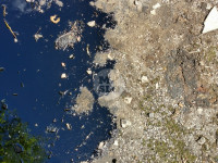 В Пролетарском районе Тулы ликвидируют разлив мазута, Фото: 6