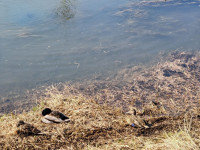 Упа 25 марта 2026, Фото: 4