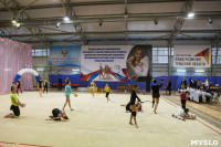 Всероссийский турнир по художественной гимнастике, Фото: 1