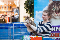Международная выставка кошек в ТРЦ "Макси", Фото: 121