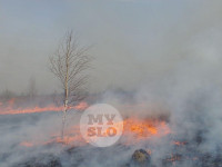 В Туле загорелось поле, Фото: 11