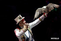 Шоу воды, огня и света, Фото: 85