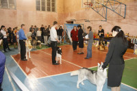 В Туле прошла всероссийская выставка собак, Фото: 45