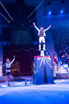 "Чудеса под Новый год" в Тульском цирке, Фото: 75