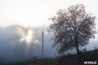 Центральный парк, утро, осень, Фото: 11