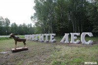 Арт-объект "Берегите лес" на въезде в Тулу, Фото: 6