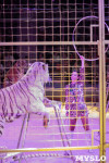 На каникулах – в Цирк больших зверей, Фото: 17