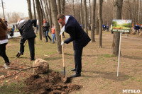 "Лес Победы" в Комсомольском парке. 27.04.2015, Фото: 31