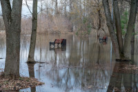 В Туле затопило Баташевский сад, Фото: 13