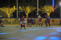 «Академия Михайлова» и Губернский каток 2025, Фото: 34