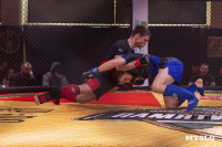 Турнир по ММА памяти Алексея Калинина собрал лучших бойцов страны: фоторепортаж, Фото: 74