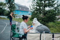 Всероссийская выставка собак в Туле, Фото: 119