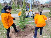 ЕВРАЗ посадил в Пролетарском парке 100 деревьев, Фото: 44