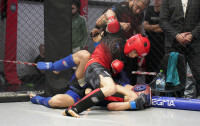 В Новомосковске прошел Чемпионат и Первенство Тульской области по ММА, Фото: 90