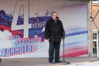День народного единства в Тульском кремле, Фото: 66