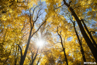 Золотая осень в Ясной Поляне, Фото: 10