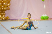 Соревнования по художественной гимнастике "Тульский сувенир", Фото: 50