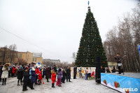 Открытие елки на площади искусств. 19.12.2014, Фото: 13