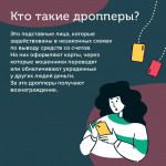 Дропперы МВД, Фото: 2