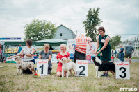Всероссийская выставка собак в Туле, Фото: 105