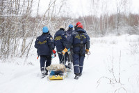 В Туле прошли учения по спасению лыжников, Фото: 18