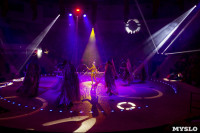 Шоу фонтанов «13 месяцев» в Тульском цирке – подарите себе и близким путевку в сказку!, Фото: 94