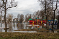 В Туле затопило Баташевский сад, Фото: 28