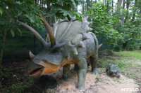В Туле появился парк с интерактивными динозаврами, Фото: 12