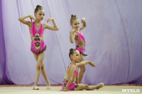 Соревнования «Первые шаги в художественной гимнастике», Фото: 70